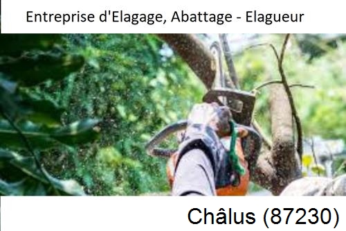 Travaux d'abattage d'arbres à Châlus-87230