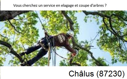 Etêtage d'arbres à Châlus-87230