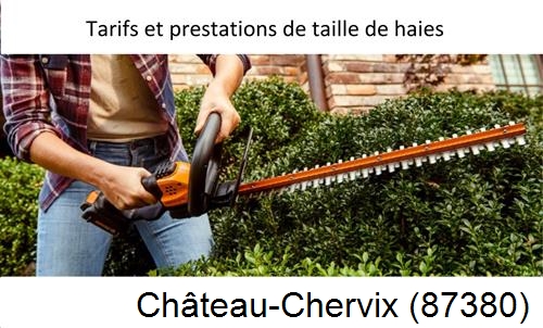 taille de haies Château-Chervix-87380