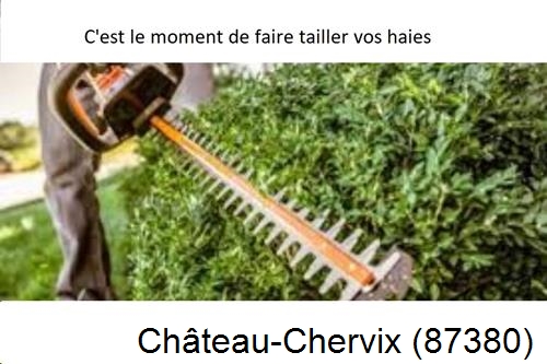 Entreprise de paysage Château-Chervix-87380