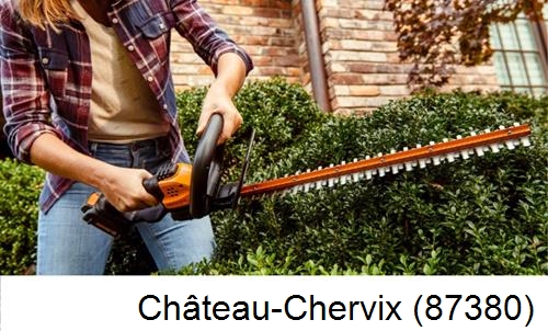 entretien jardin par paysagiste Château-Chervix-87380