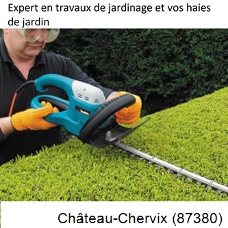 Taille et entretien jardin Château-Chervix-87380