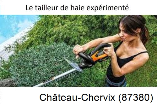 entretien jardin à Château-Chervix-87380