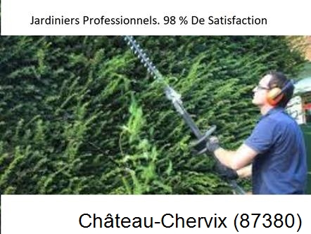 Paysagiste Château-Chervix-87380