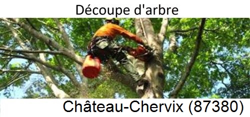 Entreprise du paysage Château-Chervix-87380