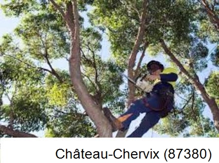 Elagueur à Château-Chervix-87380