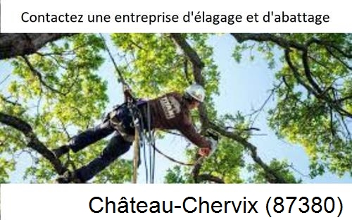 Travaux d'élagage à Château-Chervix-87380