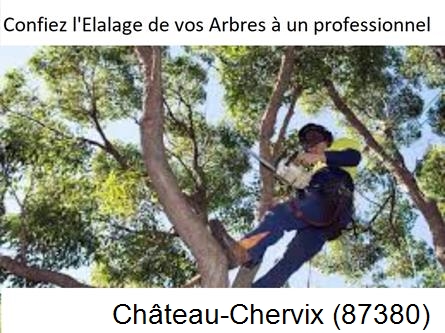 Société d'élagage à Château-Chervix-87380