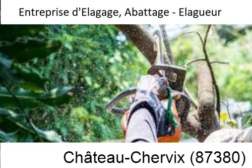Travaux d'abattage d'arbres à Château-Chervix-87380