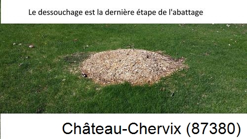 déssouchage d'arbres Château-Chervix-87380