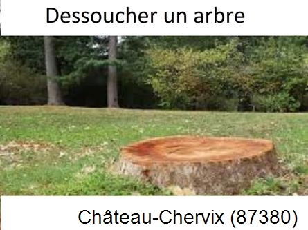 Travaux d'entretien extérieur Château-Chervix-87380