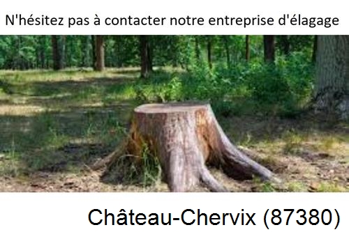 Elagage d'arbres à Château-Chervix-87380