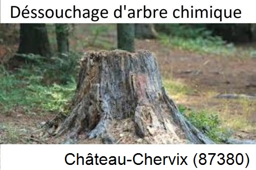 Elagueur déssouchage à Château-Chervix-87380