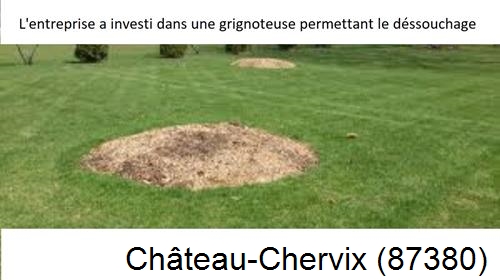 Artisan pour déssouchage d'arbres Château-Chervix-87380