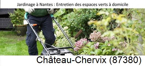 Travaux d'entretien exterieur Château-Chervix-87380