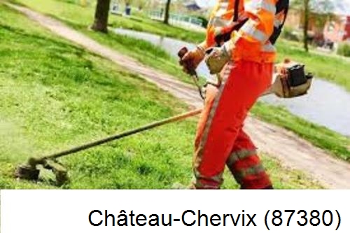 Entretien d'un jardin Château-Chervix-87380