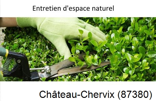 Rénovation jardin particulier Château-Chervix-87380