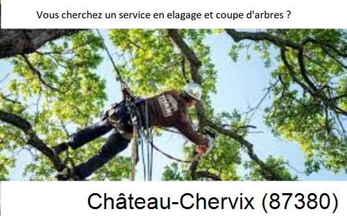 Etêtage d'arbres à Château-Chervix-87380