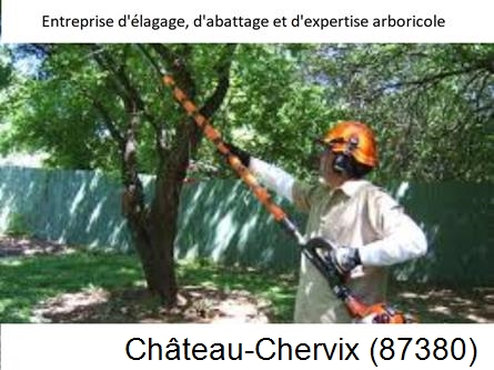 Coupe tête d'arbres Château-Chervix-87380