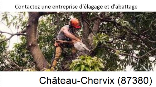 Entreprise d'élagage à Château-Chervix-87380