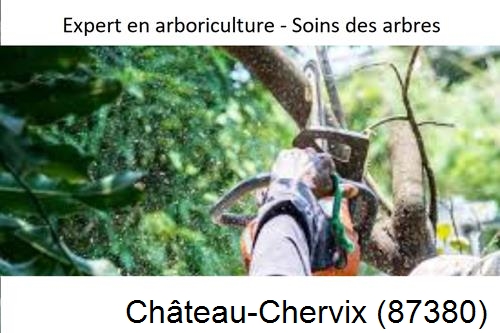 Elagage en sécurité à Château-Chervix-87380