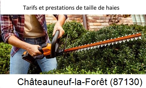 taille de haies Châteauneuf-la-Forêt-87130