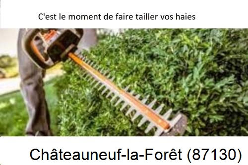 Entreprise de paysage Châteauneuf-la-Forêt-87130