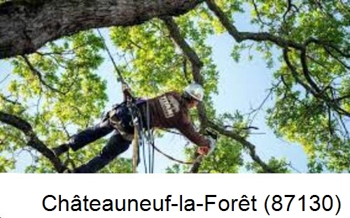 Abattage d'arbres chez un particulier Châteauneuf-la-Forêt-87130