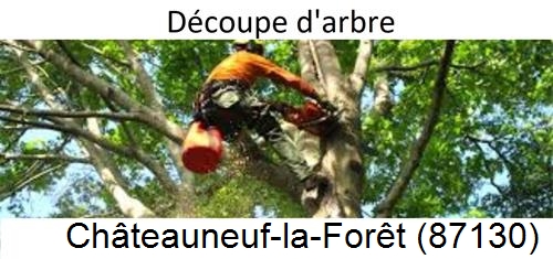 Entreprise du paysage Châteauneuf-la-Forêt-87130