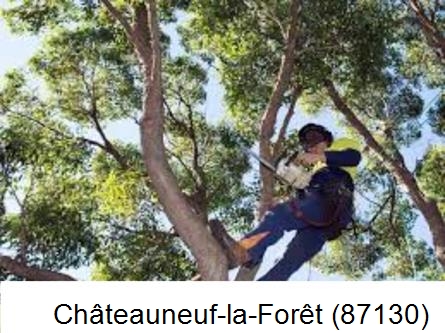 Elagueur à Châteauneuf-la-Forêt-87130