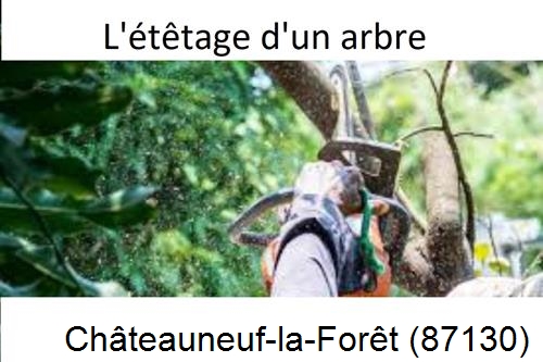 Artisan Abatteur d'arbres Châteauneuf-la-Forêt-87130