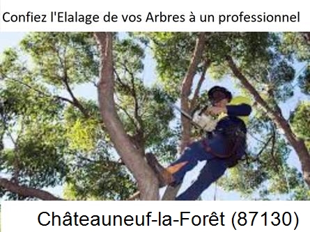 Société d'élagage à Châteauneuf-la-Forêt-87130