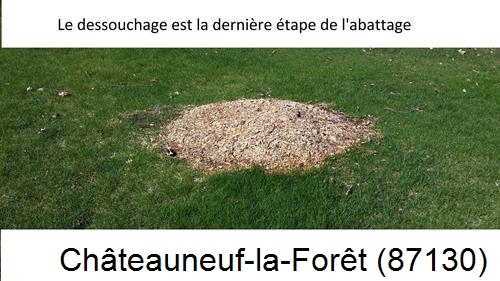 déssouchage d'arbres Châteauneuf-la-Forêt-87130