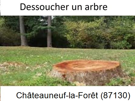 Travaux d'entretien extérieur Châteauneuf-la-Forêt-87130