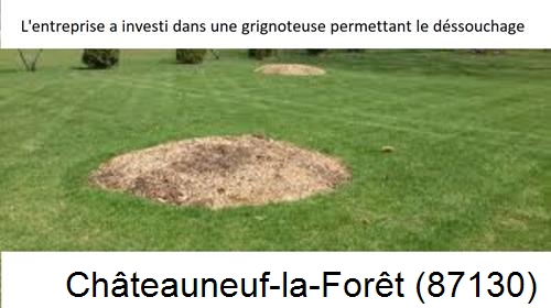Artisan pour déssouchage d'arbres Châteauneuf-la-Forêt-87130