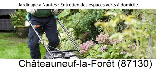 Travaux d'entretien exterieur Châteauneuf-la-Forêt-87130