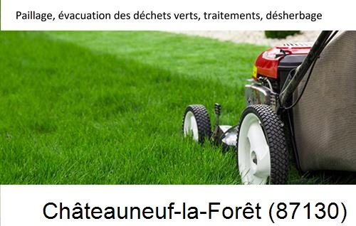 Entreprise de paysage pour entretien de jardin Châteauneuf-la-Forêt-87130