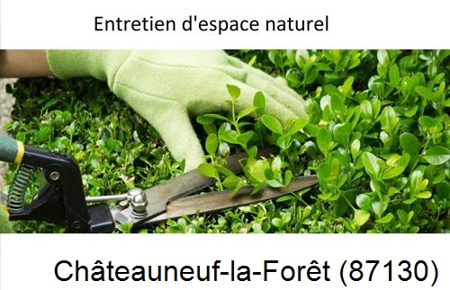Rénovation jardin particulier Châteauneuf-la-Forêt-87130