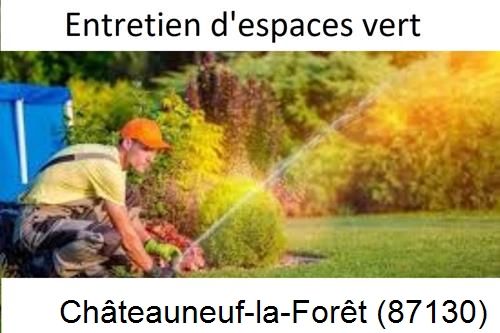 Aménagement extérieur à Châteauneuf-la-Forêt-87130