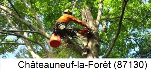Déssouchage, étêtage d'arbres Châteauneuf-la-Forêt-87130