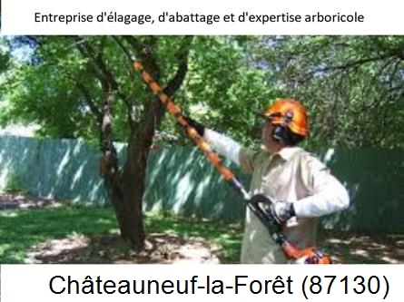 Coupe tête d'arbres Châteauneuf-la-Forêt-87130