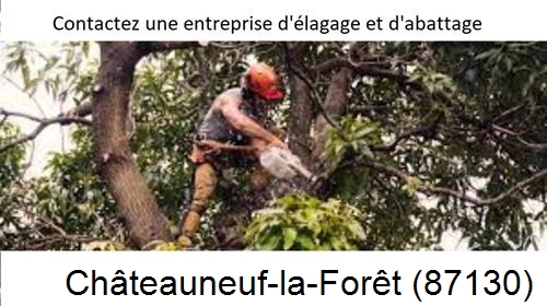 Entreprise d'élagage à Châteauneuf-la-Forêt-87130