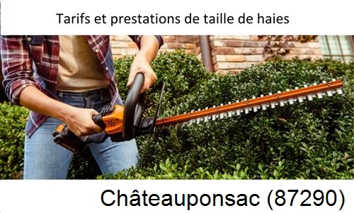taille de haies Châteauponsac-87290