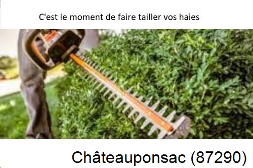 Entreprise de paysage Châteauponsac-87290