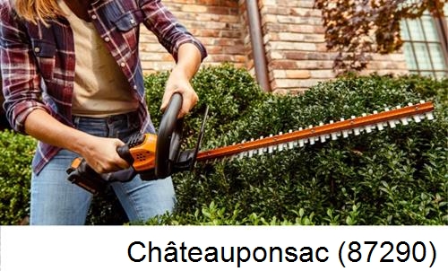 entretien jardin par paysagiste Châteauponsac-87290