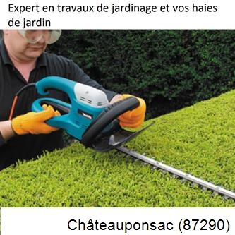Taille et entretien jardin Châteauponsac-87290