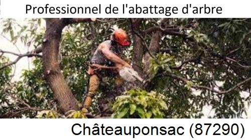 Elagage d'arbres Châteauponsac-87290