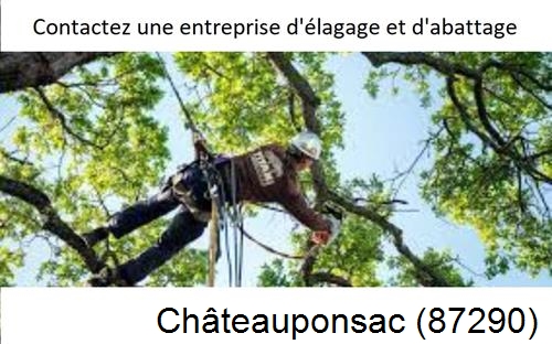 Travaux d'élagage à Châteauponsac-87290