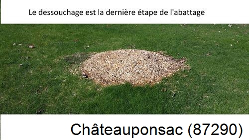 déssouchage d'arbres Châteauponsac-87290