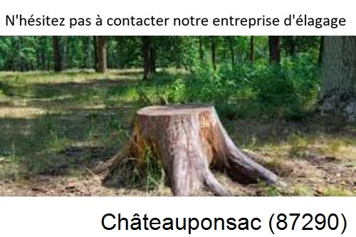 Elagage d'arbres à Châteauponsac-87290